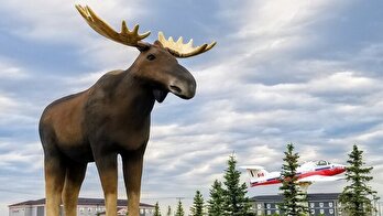 Mac The Moose